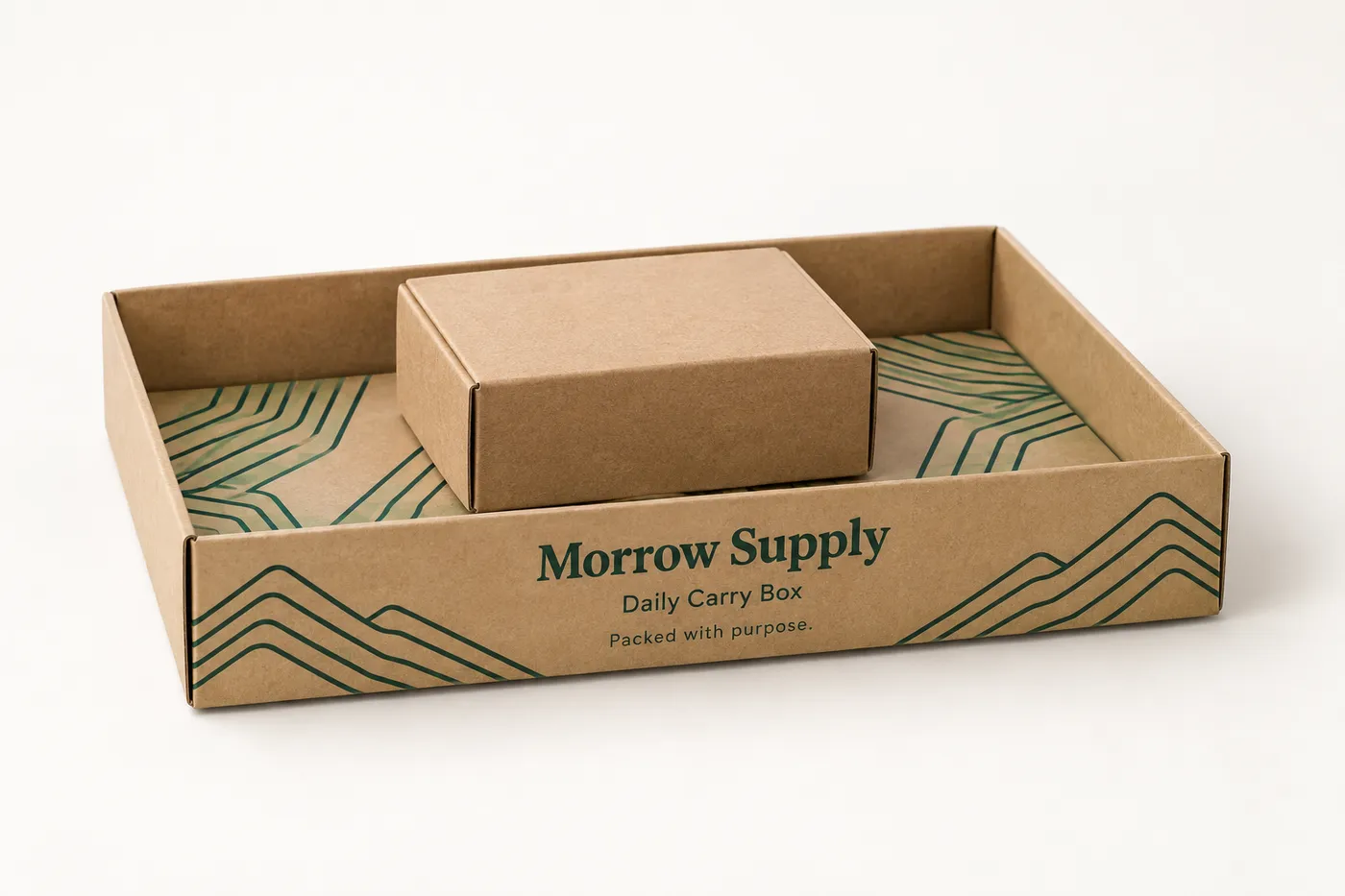 Printed kraft paperboard product tray holding one small retail product box